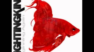 Beginning  Again - Fighting Kind