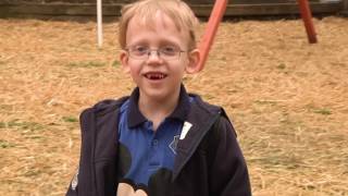 Eddie's Clubhouse Wish