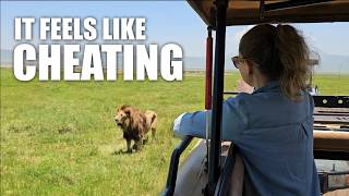 Tanzania: Lower Cost Safaris and A More Local Experience | Ngorongoro Crater