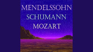 Piano Trio No.1 in D Minor, Op. 63: I. Mit Energie und Leidenschaft