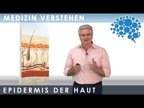 Epidermis der Haut│Dr. Dr. Damir del Monte│Encephalon Medizin-Videos bei Lecturio