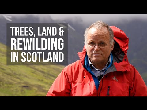 Andy Wightman - rewilding and why the Scottish mountains look the way they do