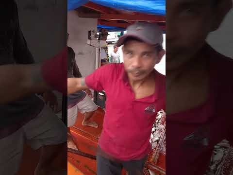 Abundance in Beruri, Amazonas