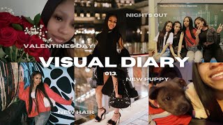 VISUAL DIARY 013: valentine’s day, new puppy, days w friends, photoshoot, new hair + more| Yonikkaa