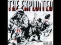 the exploited-crashed out