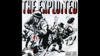 the exploited-crashed out