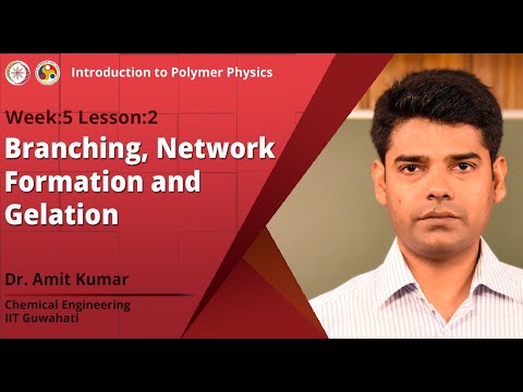 Introduction to Polymer Physics Introduction Video