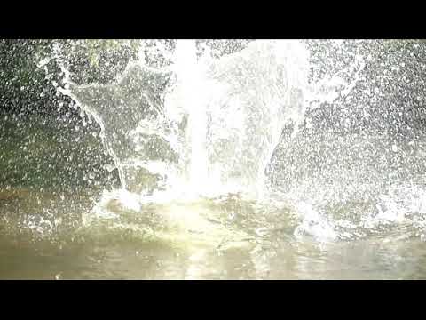 MAYHEM & SOX - PRANGUM