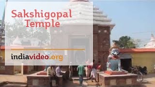 The Lord is my witness at Bhubaneswar's Sakshigopal Temple 