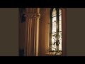 Not in a Hurry (Live)
