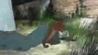 Watership down Skinny Puppy &quot;Cult&quot;