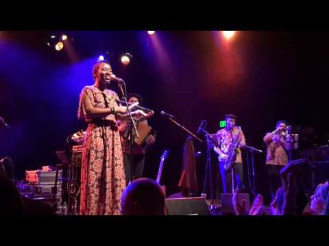 Quantic - Chambacu Live @ El Rey