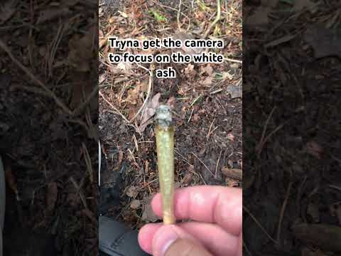 Camera would not focus 😂 #stonersonly #rawlife #raw #high #rollup