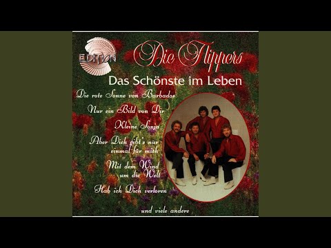 Nie Kann Ich Vergessen - Die Flippers