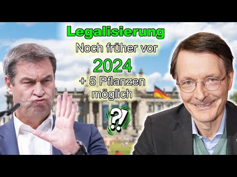 Zeitplan Legalisierung - noch früher als 2024 !? Wann wird es legal
