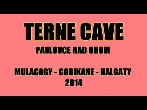 TERNE CAVE MULACAG
