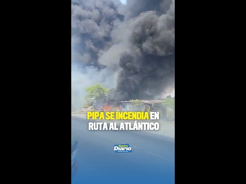 Videos RRSS 2026 (4)