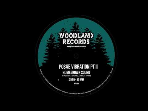 Homegrown sound - Positive Vibration