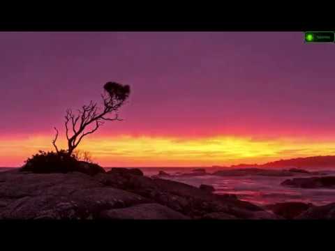 Neev Kennedy & Beat Service - But i did (BeeKay remix)_Remastered