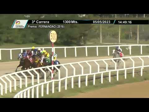 230505 c03 - JIMMY ROYAL - HIPODROMO LAS PIEDRAS