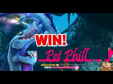 Win Pet Phill (Harbor Map Live Contest) - Hungry Shark World