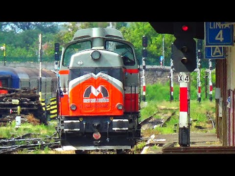 Trenuri în gara Oradea (04.August.2021.)