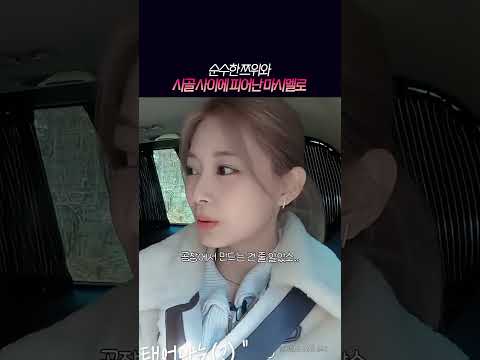 [트와이스] 한국인이랑 일본인이 대만인 속이는 영상