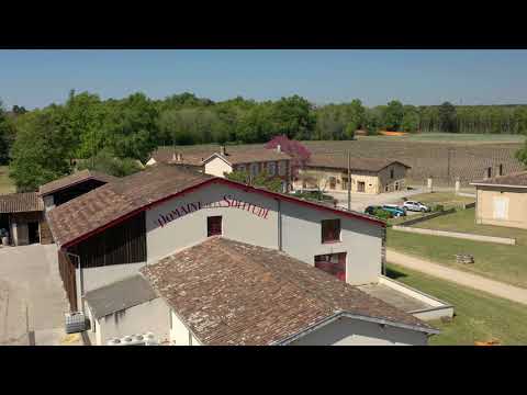 "Un jour un Château en Pessac-Léognan" Domaine de la Solitude