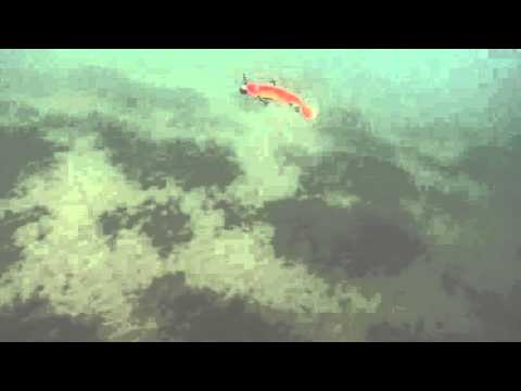 Gunki sweep gun 15 cm