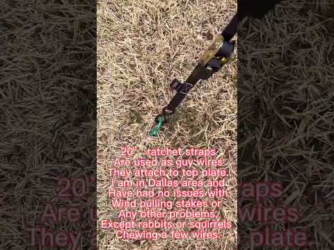 MegaTree build video