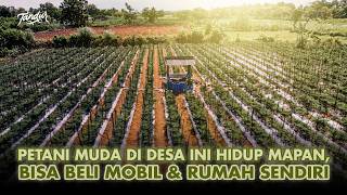 Download lagu Petani Muda 22 Tahun Punya Lahan Berhektar dari Tanam Cabai mp3