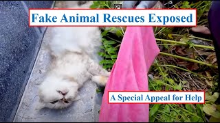 Fake Animal Rescues Exposed - A Special Appeal For Help