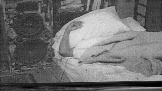 Fatnice - Freedom Rings (Official Video)