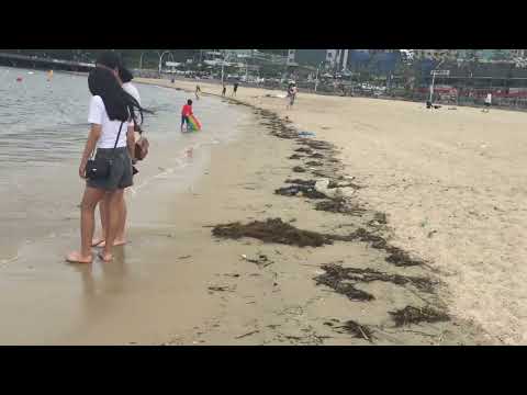 10.7.22 play activity at ilsan beach with my iranian friend and family.