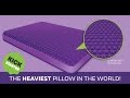 The Purple Pillow Official Kickstarter Video