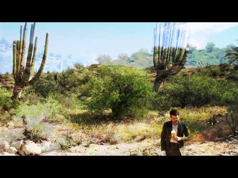 Pollice Verso Reverso