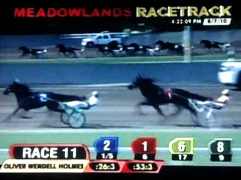 2010 Hambletonian Day - Race 11 - Oliver Wendell Holmes