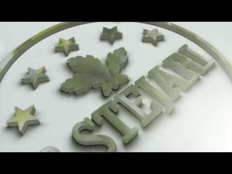 Deschiderea oficiala 3 Stejari Brasov | Sala de nunta & botez | Where luxury meets nature