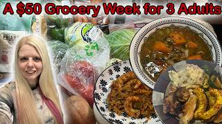 My Normal $50 Grocery Week & Dinners • Realistic Budget Cooking • Meal Ideas
