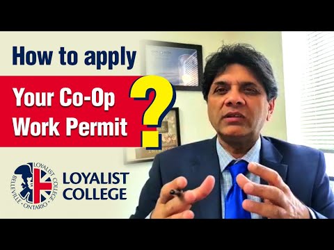 How to apply Co-op work permit?  Loyalist Toronto