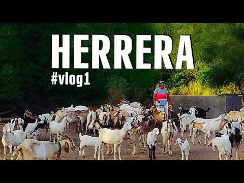 Recorriendo Herrera, Santiago del Estero 🇦🇷 #vlog #herreravlogs #santiagodelestero #argentina