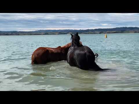When it's just too hot - family life