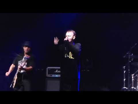 DICKIES - Rosemary / Banana Splits 6-23-18