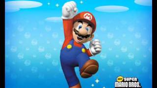 Stupid Mario Brothers Theme Song
