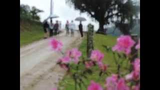preview picture of video 'Vídeo da 5ª Caminhada Ecológica e Cultural da Vila Itoupava em Blumenau 2014. #BlogdoJaime'