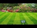 Todd Snider - Keep Off the Grass