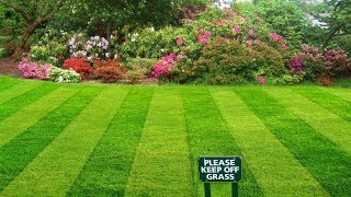 Todd Snider - Keep Off the Grass