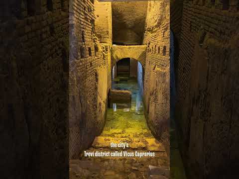 SOB a Fonte de Trevi, Roma Itália | Giada De Laurentiis