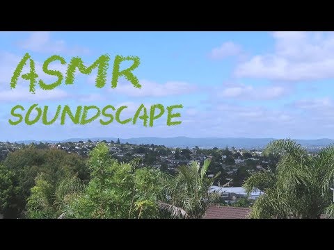 ASMR Soundscape bayview Auckland Newzealand Relex morning