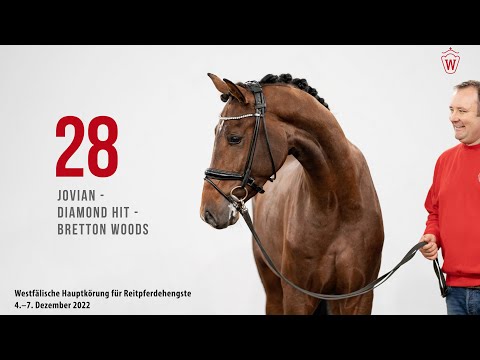 Westfälische Hauptkörung 2022 Reitpferde: Kat.Nr. 28  Jovian  -  Diamond Hit  -  Bretton Woods